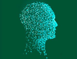 Revista Acadêmica Interdisciplinar INESP